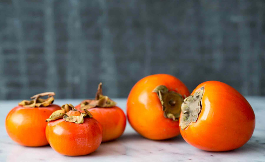 whopper persimmon tree fruit